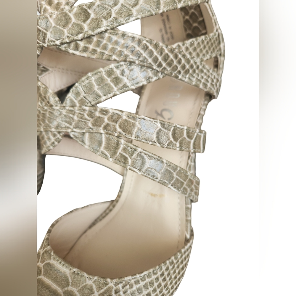 Rouge Helium Zip Up Gator Heels - Picture 9 of 16
